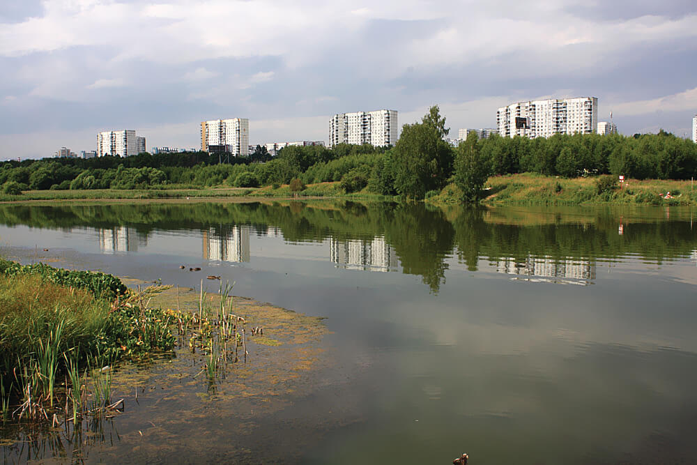 Ясеневские воды   фото