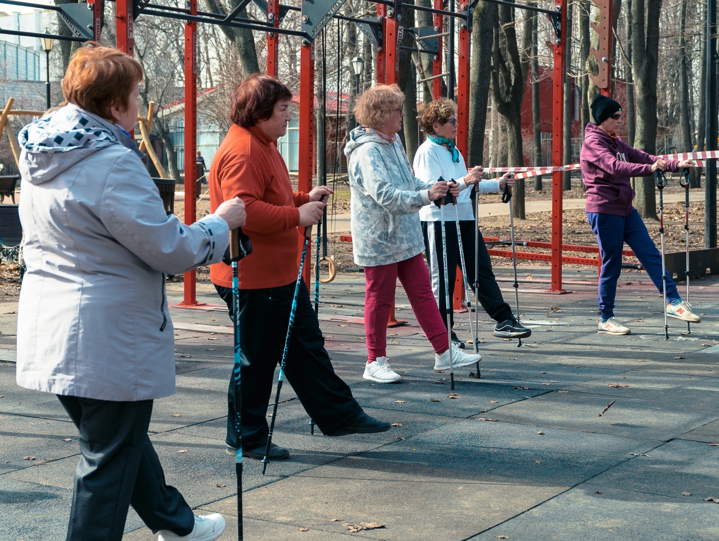 Активное долголетие: скандинавская ходьба как способ сохранить молодость  фото