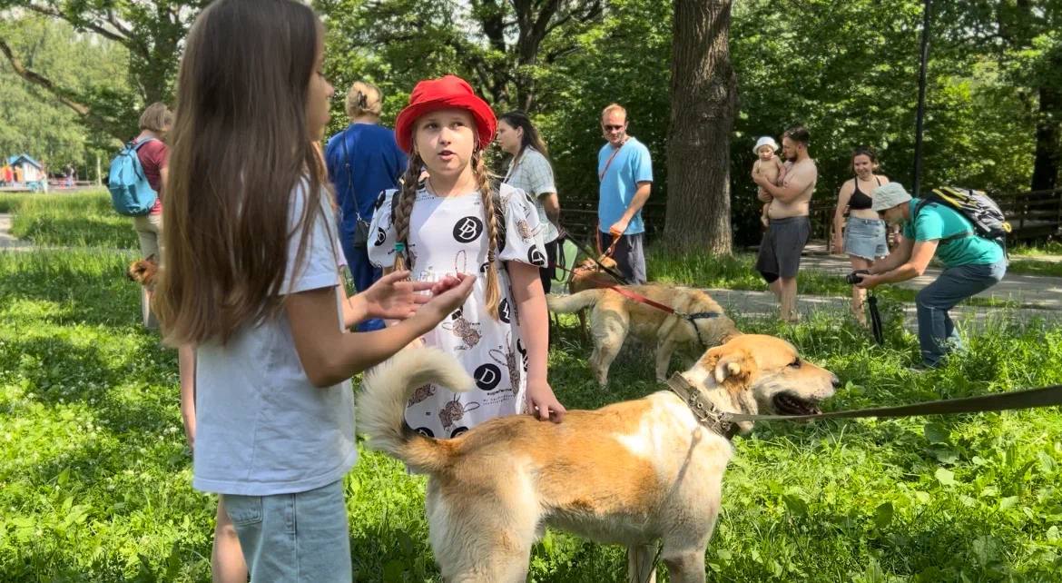 В Теплом Стане пройдет фестиваль «Верные друзья»  фото