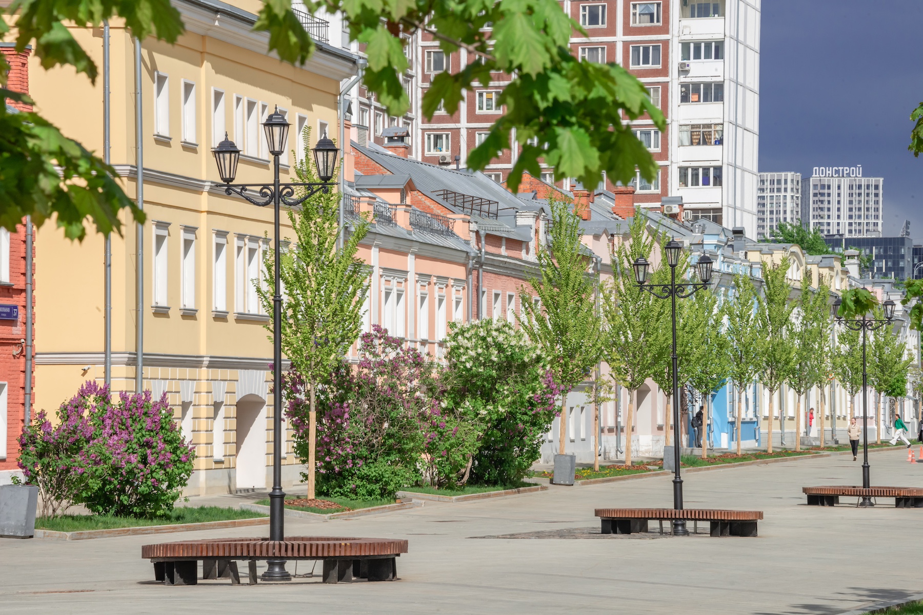 Вишни, сирени и гортензии: как преобразятся дворы Таганки  фото