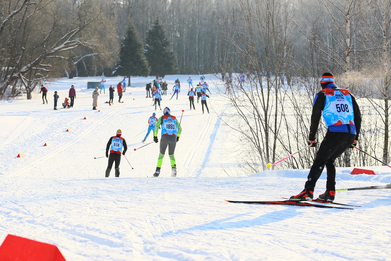 В ЮЗАО 1 марта пройдет спортивная прогулка &laquo;Вставай на лыжи!&raquo;  фото