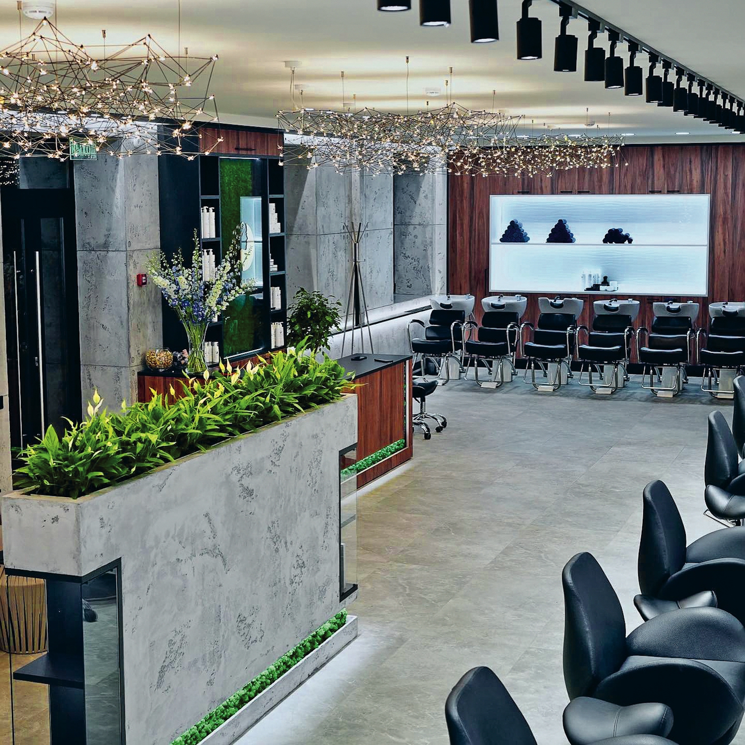 Кудри волнуются раз: как заработать на стрижке и укладке непослушных волос  фото