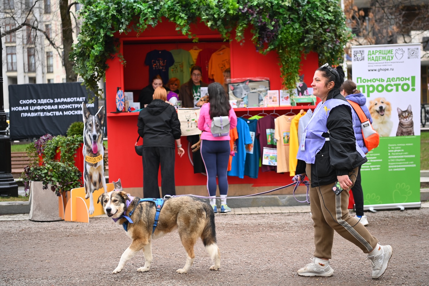 Более 30 животных обрели хозяев на фестивале &laquo;Пасхальный дар&raquo;  фото