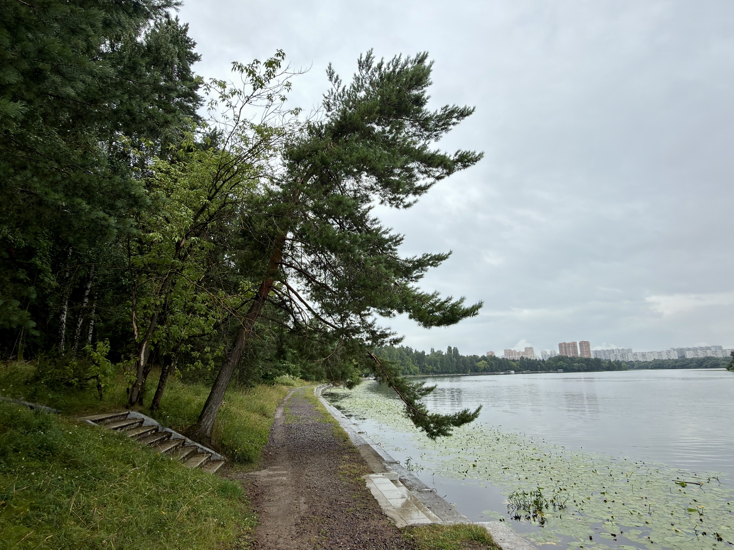 Прогулка по Серебряному Бору: Крош, моржи и хохлатая чернеть  фото