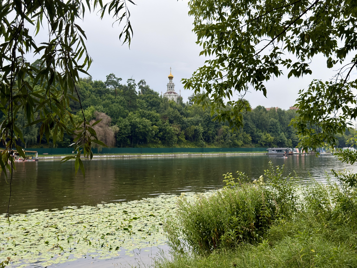 Прогулка по Серебряному Бору: Крош, моржи и хохлатая чернеть  фото