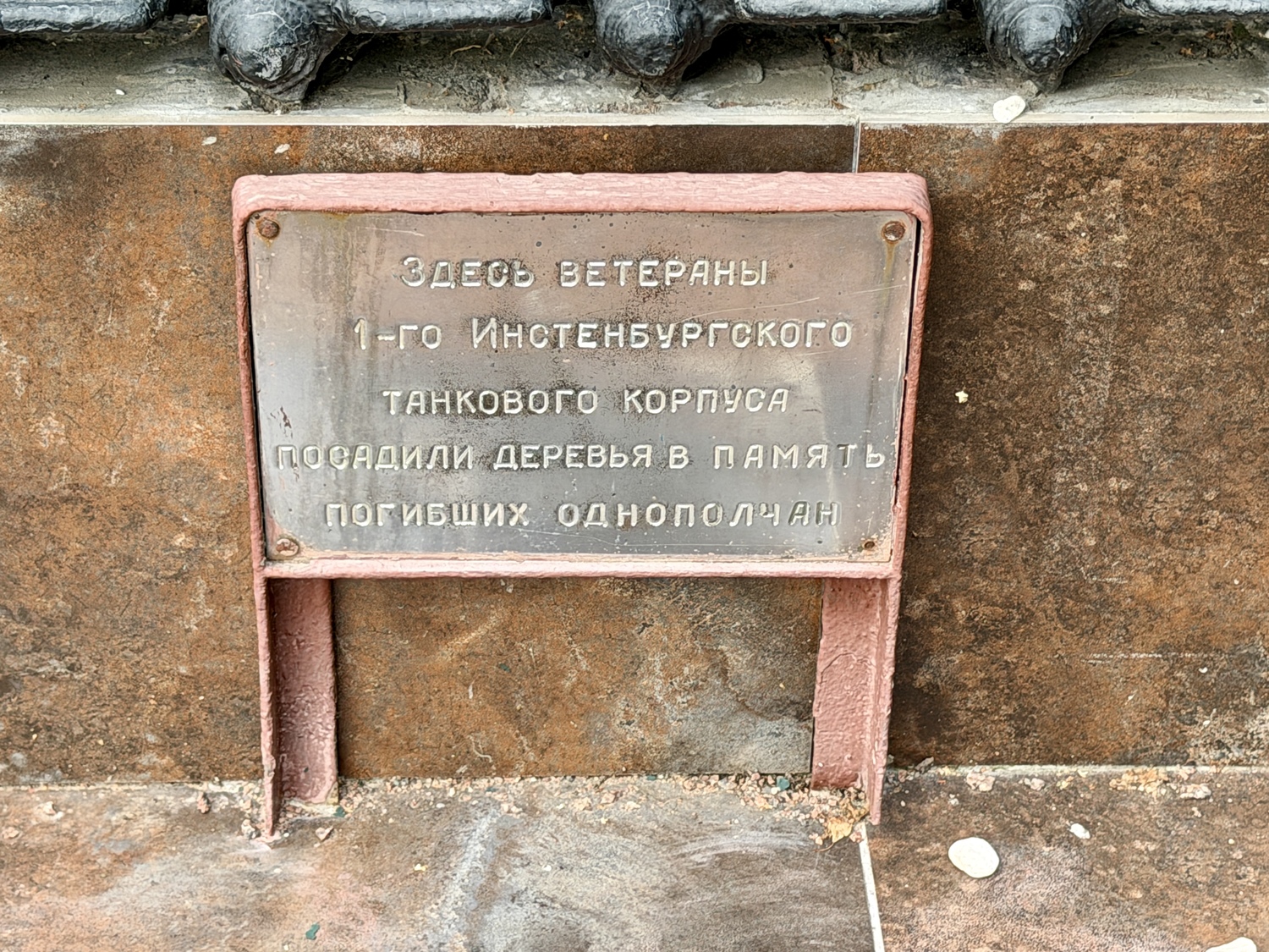 Прогулка по Серебряному Бору: Крош, моржи и хохлатая чернеть  фото