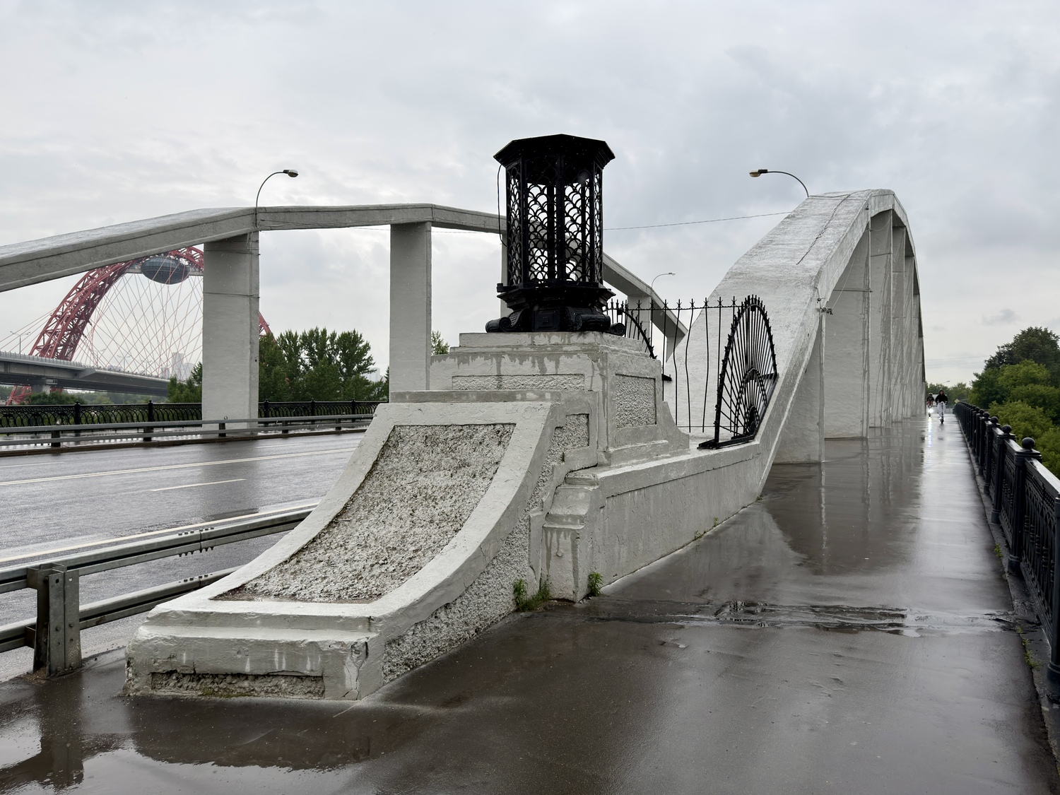 Прогулка по Серебряному Бору: Крош, моржи и хохлатая чернеть  фото