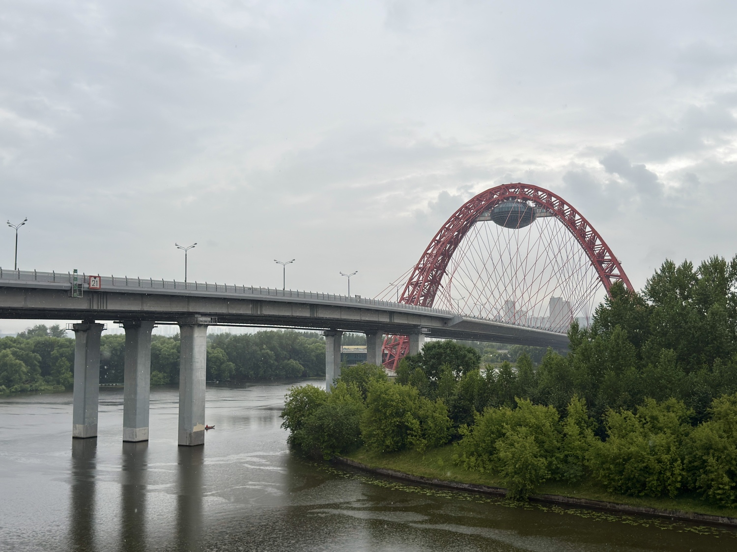 Прогулка по Серебряному Бору: Крош, моржи и хохлатая чернеть  фото