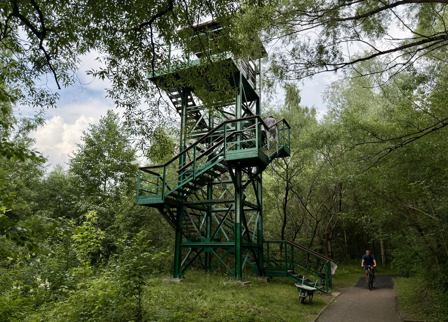 Прогулка по Серебряному Бору: Крош, моржи и хохлатая чернеть  фото