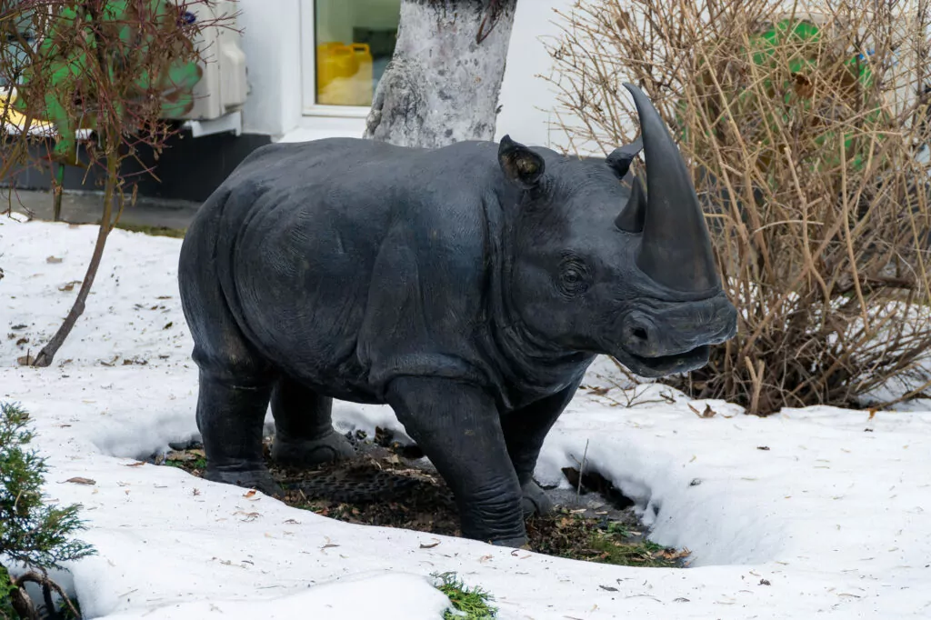 Трубная — Цветной бульвар: где твои семнадцать лет? Трубная — Цветной бульвар: где твои семнадцать лет? фото