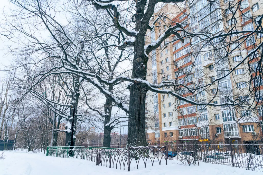 Новаторская — Новые Черёмушки: Пьер Безухов, Юрий Гагарин и Иоганн Вольфганг Гёте  фото