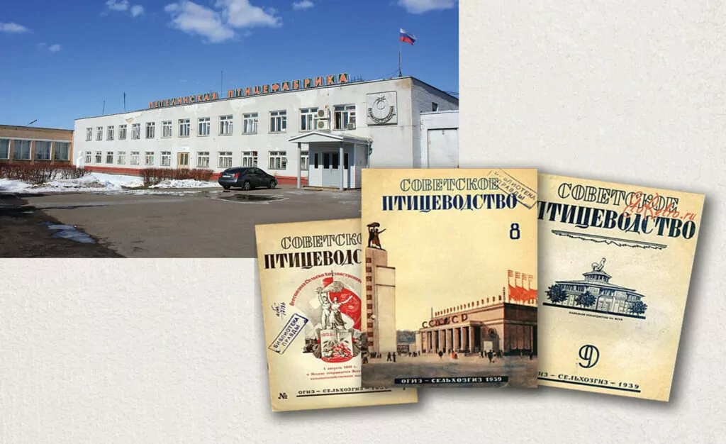 Нелетающие птицы Крылатского Нелетающие птицы Крылатского фото