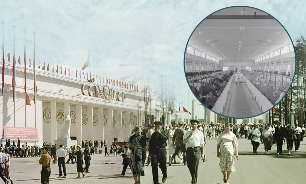 Выставка-зеркало Выставка-зеркало фото