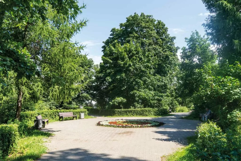 Щукинские парки  фото