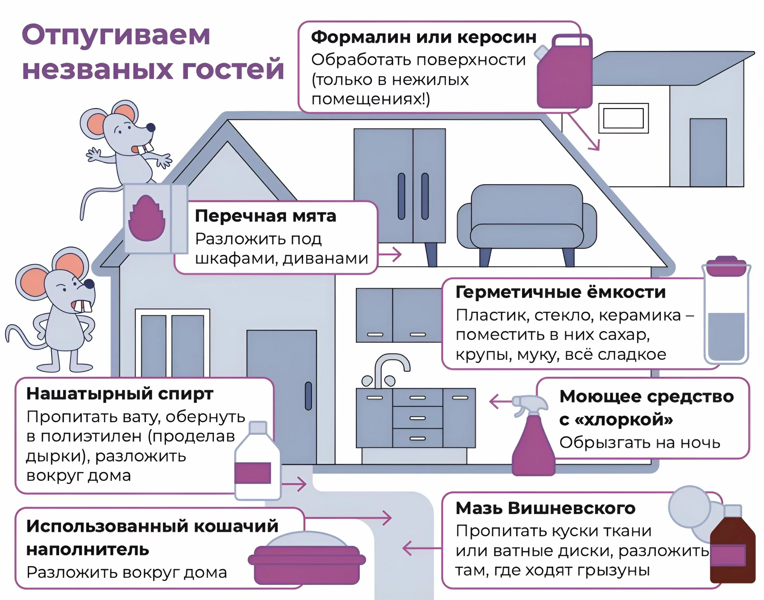 Как избавиться от грызунов в частном доме: советы