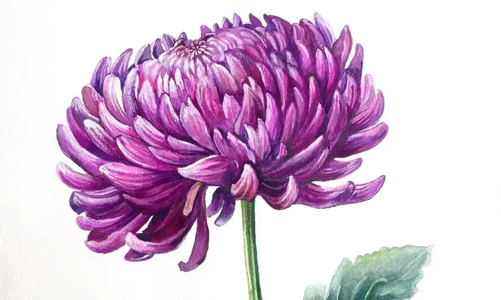 Современное искусство, цветы с историей и Царицыно глазами художников &mdash; в парках столицы  фото