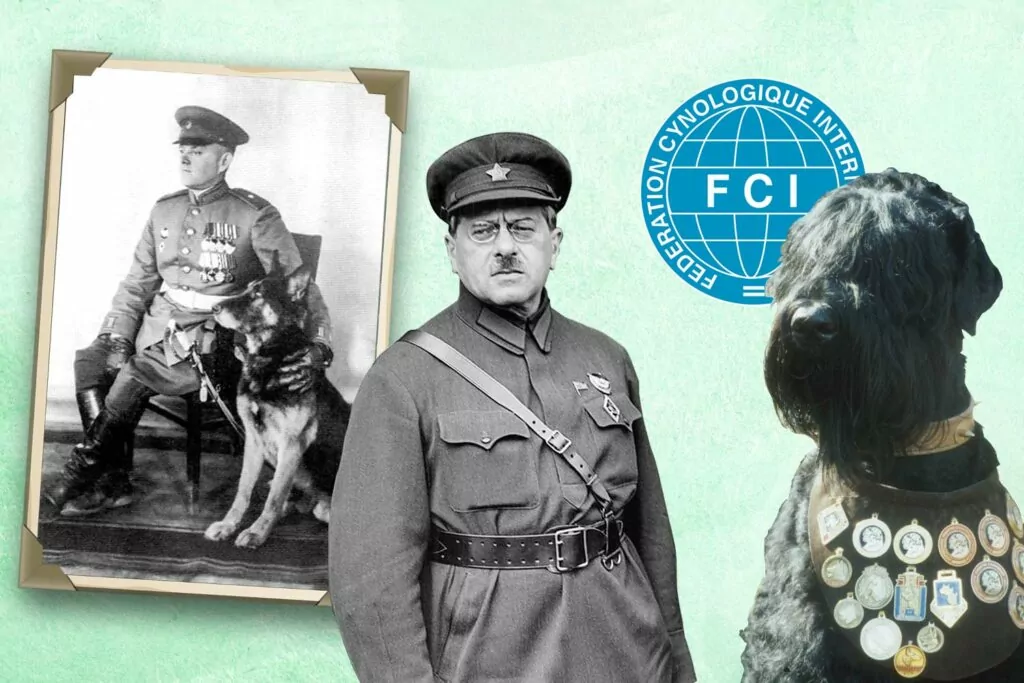 Собаки Терлецкой дубравы  фото