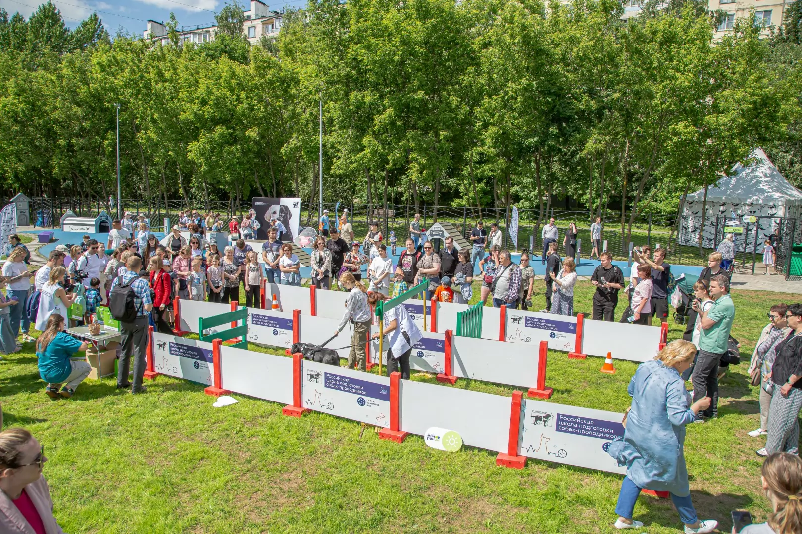 Показательные выступления собак-поводырей пройдут в «Музеоне» Показательные выступления собак-поводырей пройдут в «Музеоне» фото