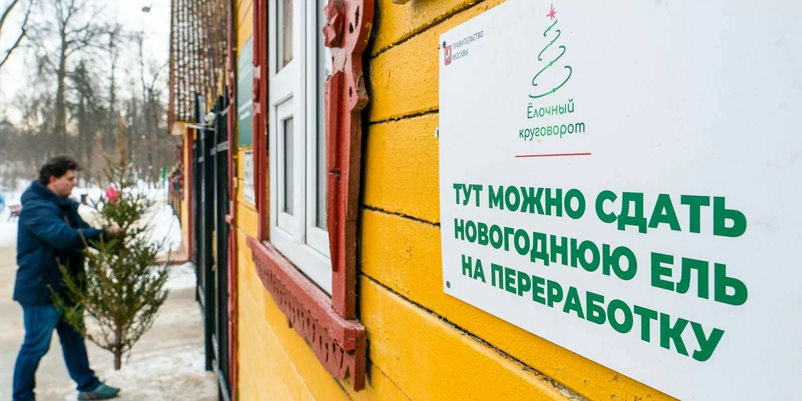 Тайны зимнего леса и забота о природе: экопроекты, которые нельзя пропустить  фото