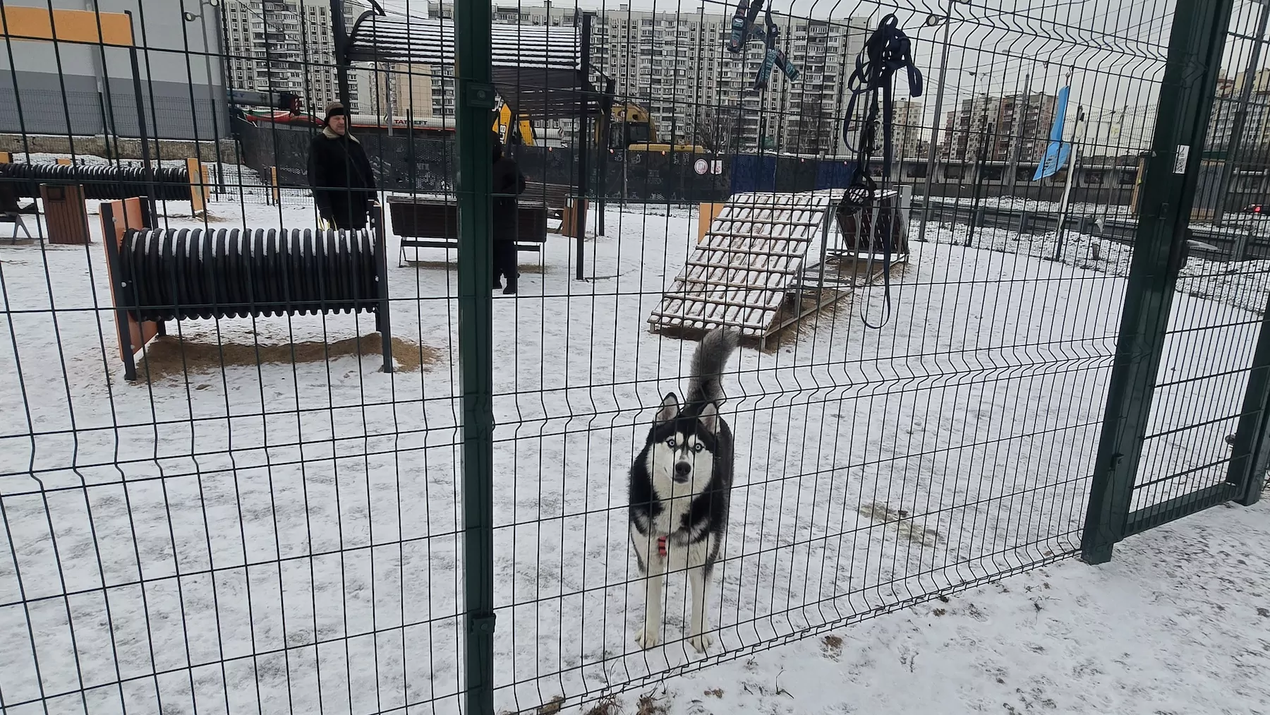 В Новокосино становится больше современных площадок для выгула собак  фото