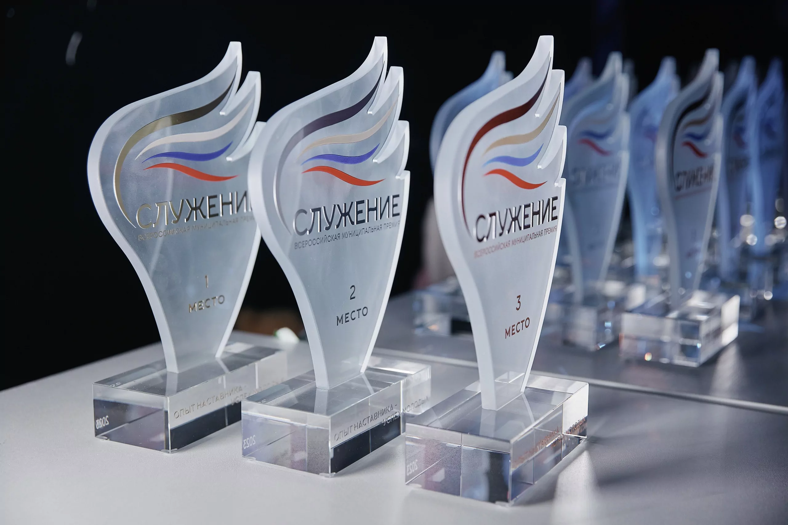 Московский проект «Семья помогает семье» получил награду Всероссийской премии «Служение»  фото