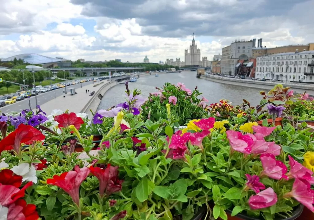 Оазис в городе и подиум среди цветов: новые локации летнего фестиваля  фото
