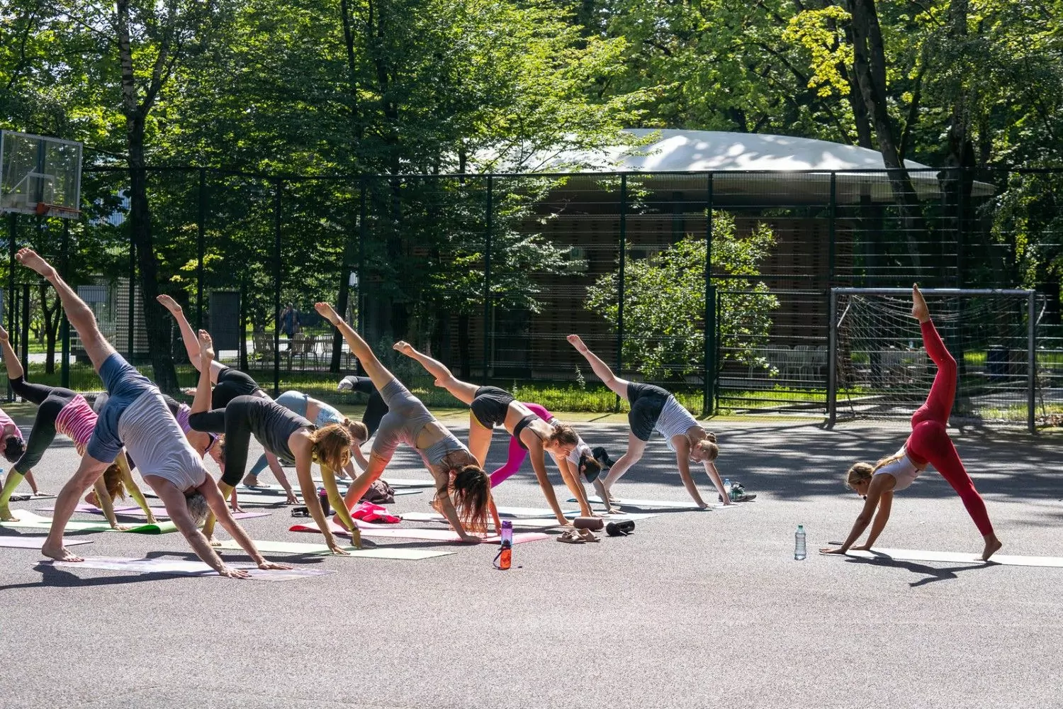 Праздник гармонии тела и духа: на ВДНХ отметят Международный день йоги  фото