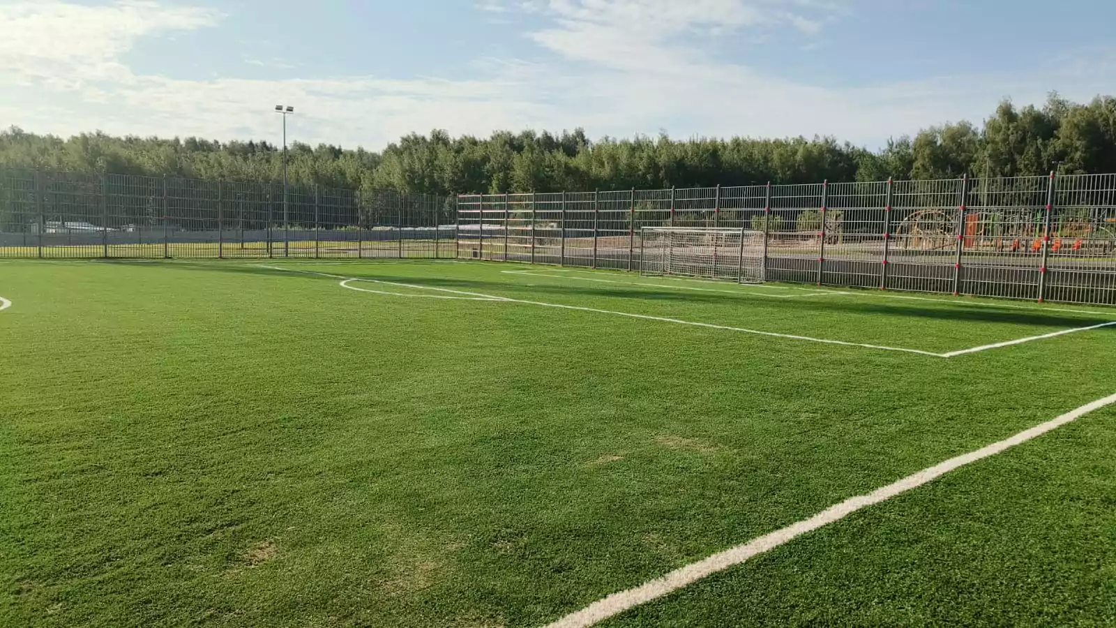 Благоустройство лесопарка в Северном Бутово завершится в августе  фото