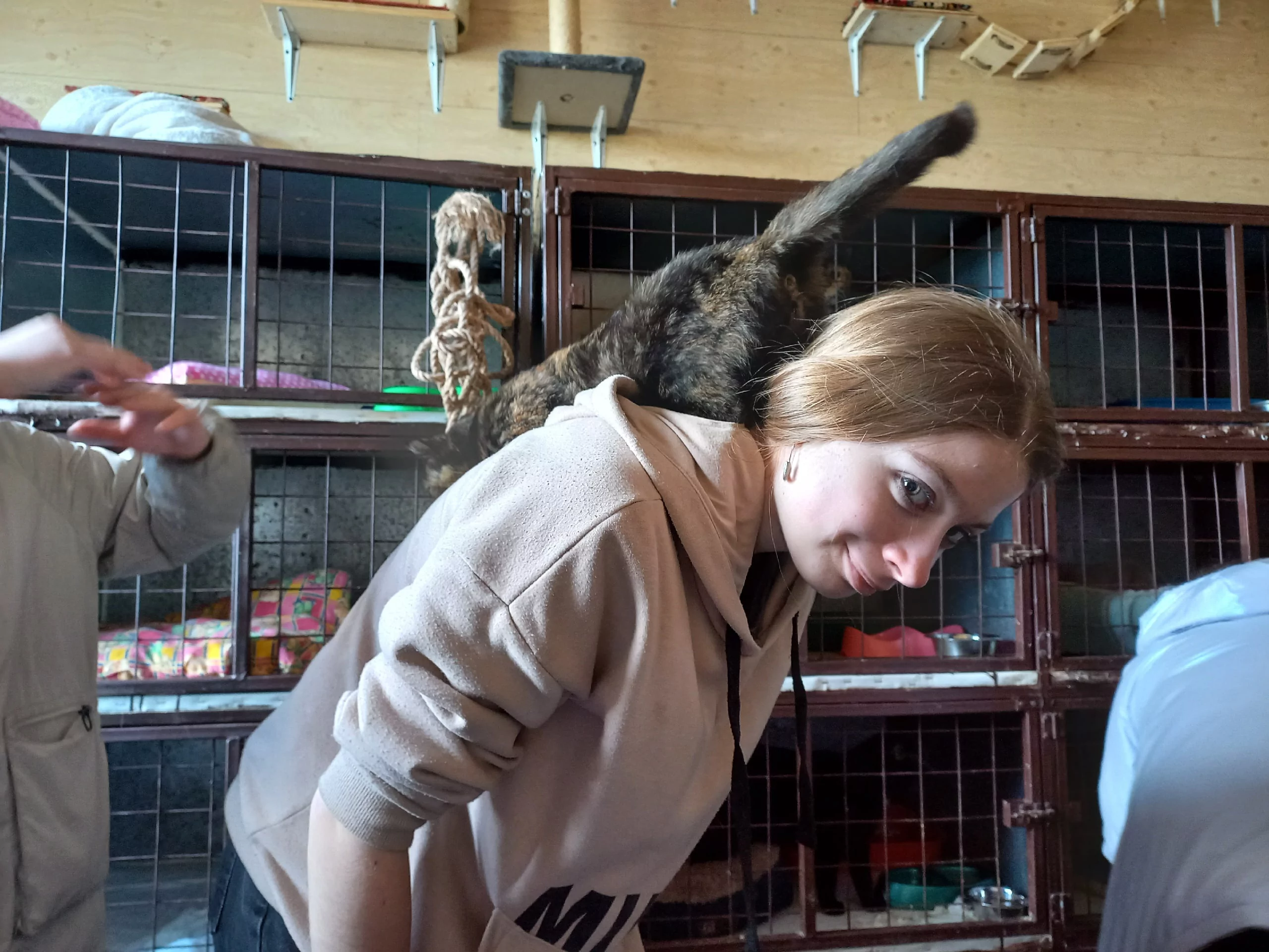 Молодые парламентарии передали в приюты для животных больше 2 тысяч килограммов корма  фото