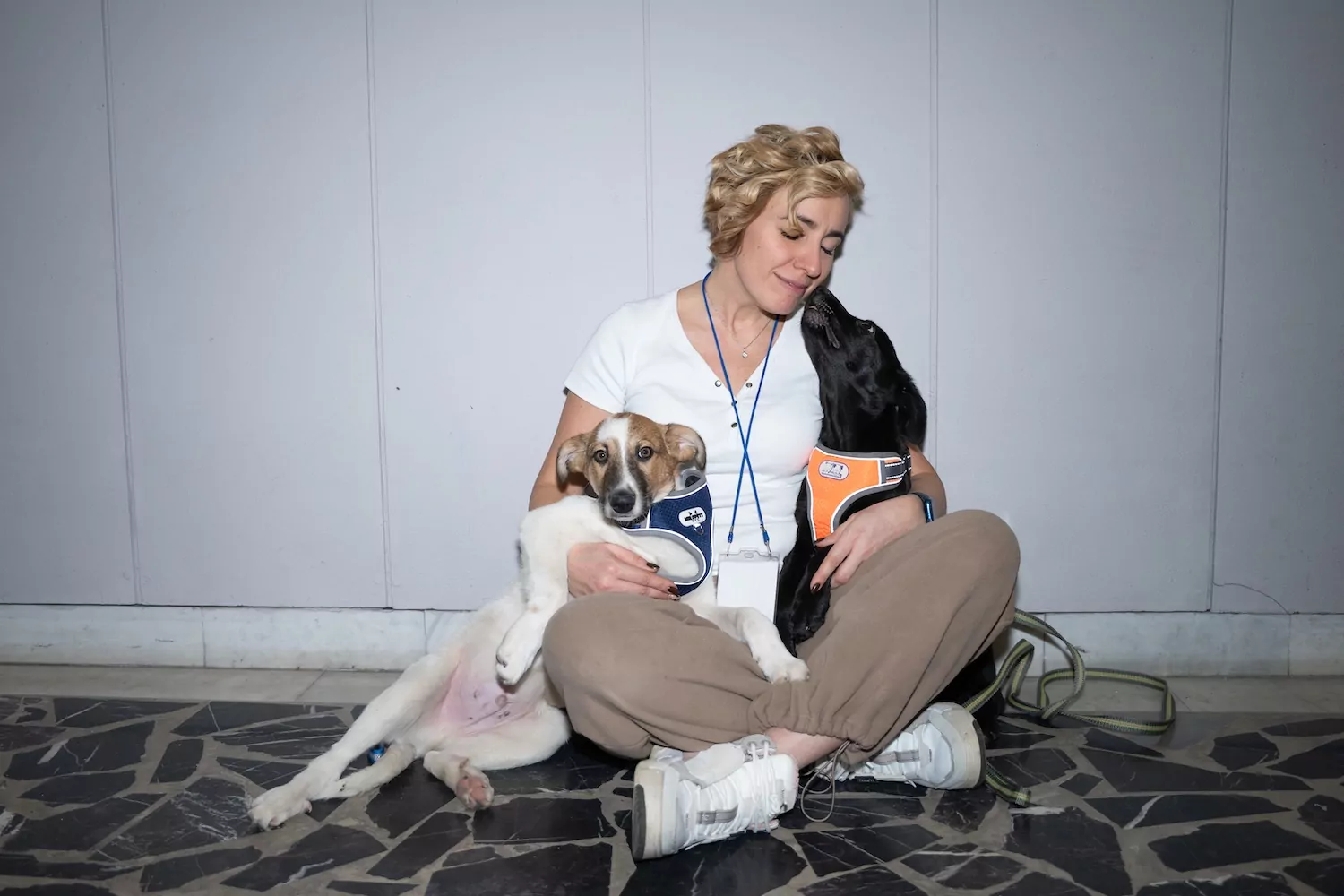 Жители Зеленограда познакомятся с подопечными приюта ГБУ &laquo;Доринвест&raquo;  фото