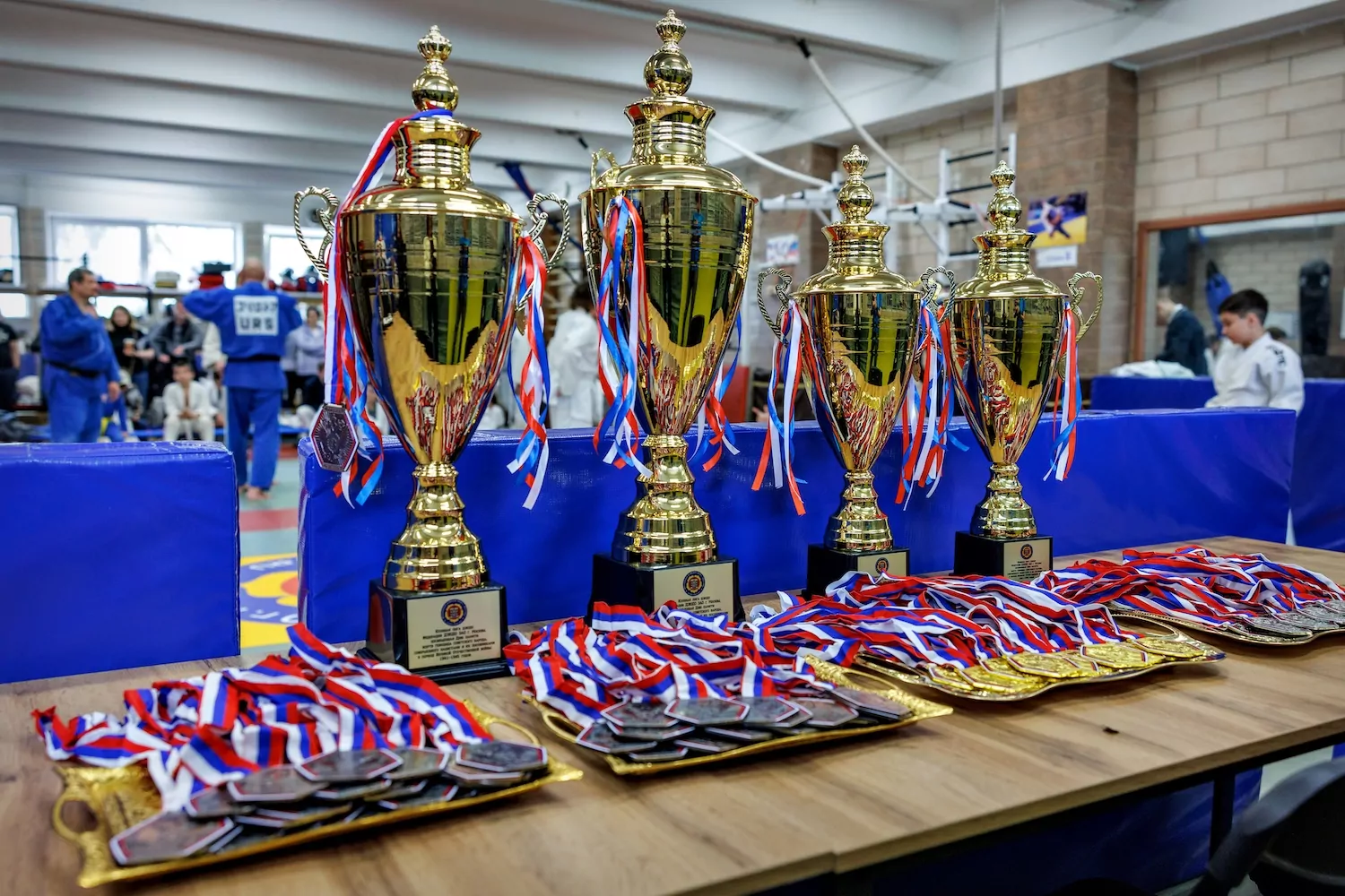 Евгений Попов принял участие в открытии турнира по дзюдо в спорткомплексе &laquo;Фили&raquo;  фото