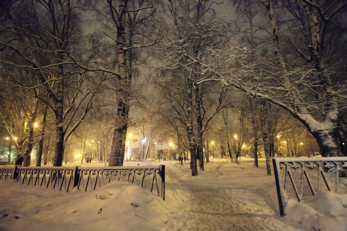 Облачность и снегопады ожидаются в Москве 26 декабря, фото