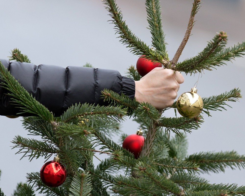 Московские парки принимают в утиль новогодние елки, фото