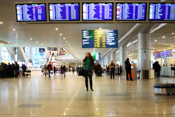 В аэропортах Москвы 13 января отменено около 30 рейсов, фото