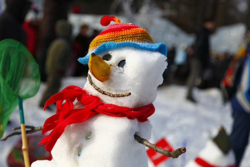 В «Сокольниках» пройдет Фестиваль снеговиков, фото