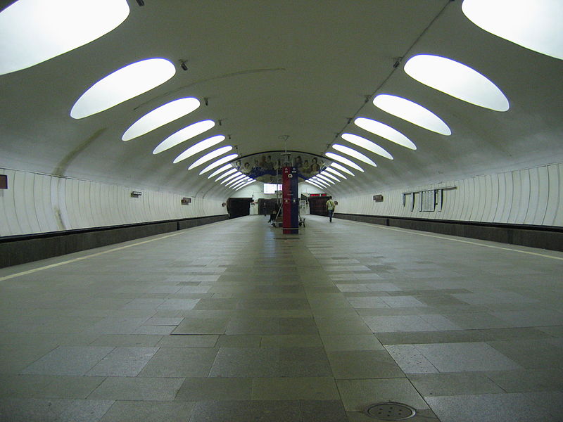 В Москве произошел сбой на участке «серой» ветки метро, фото