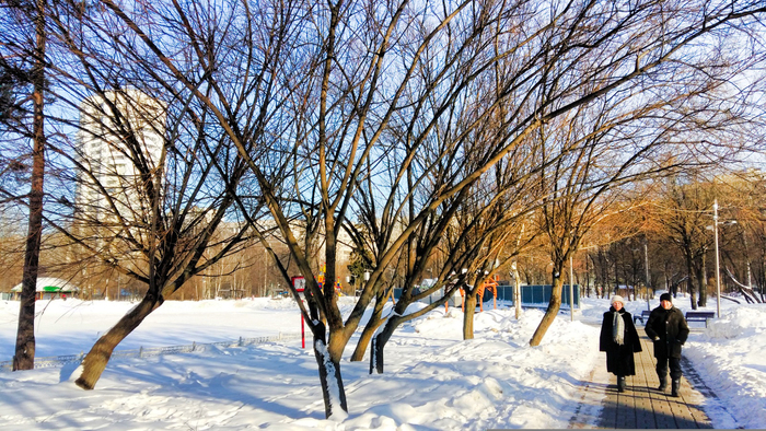 В Лианозовском парке стартуют экологические прогулки «Мир - это я!», фото