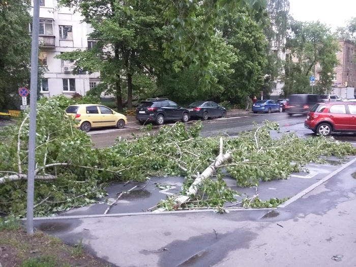 В результате урагана в Москве пострадали 170 человек, фото