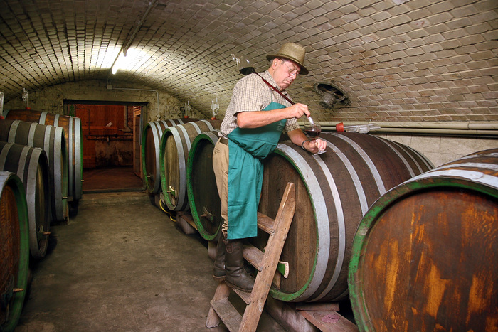 Итальянцы выпустят для России вино «Dimon», фото