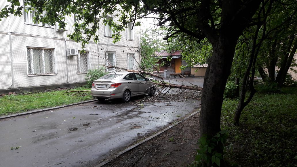 Жертвами разрушительного урагана в Москве стали 11 человек, фото
