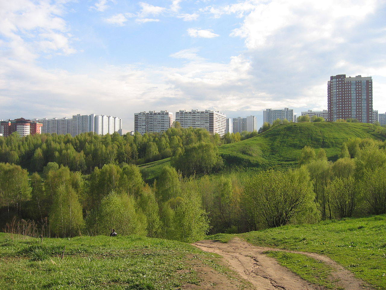 В Новой Москве к 2035 году планируют создать 85 парков, фото