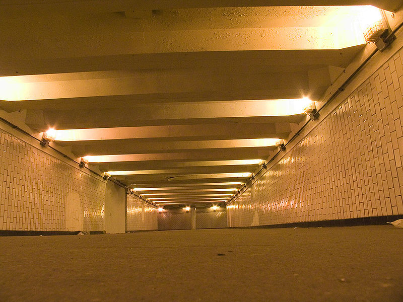 До конца года в Москве отремонтируют 50 подземных переходов, фото