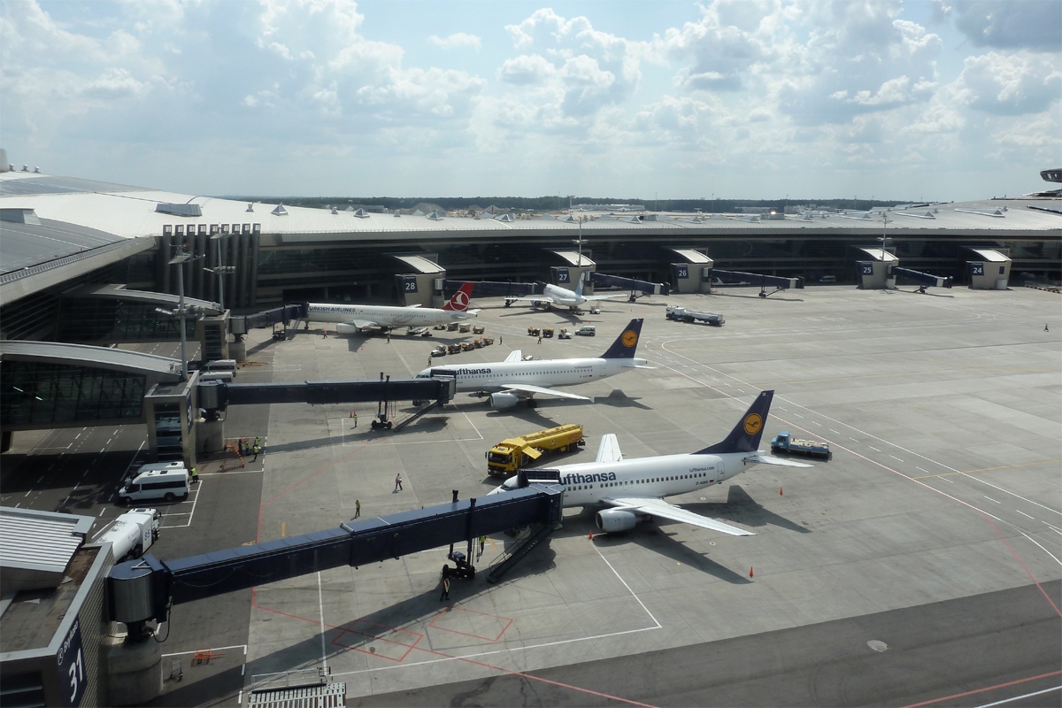 В аэропорту Внуково‍ произошел сбой в системе обработки багажа, фото