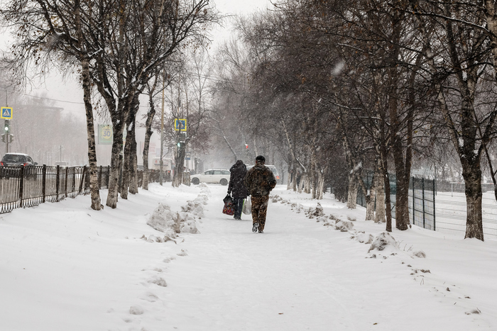 За сутки в Москве выпало почти 15% месячной нормы осадков, фото