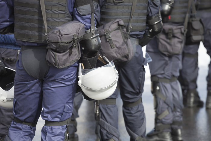 Собянин поручил полиции обеспечить порядок во время выборов президента, фото