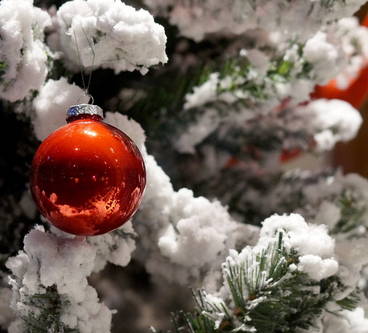 Площадки фестиваля «Путешествие в Рождество» украсят более тысячи елок‍, фото