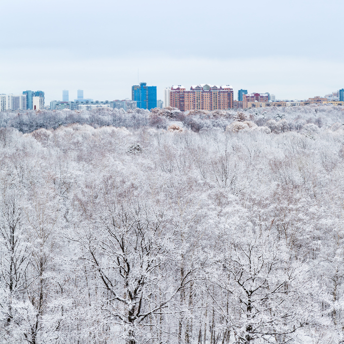 До 6 градусов мороза и небольшой снег ожидаются во вторник в Москве, фото