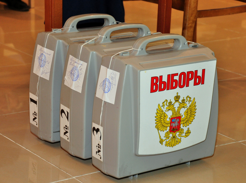 В Москве в день выборов 18 марта могут пройти школьные референдумы, фото