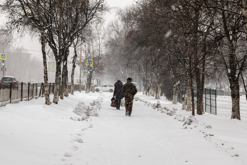 В Москве 31 января может выпасть треть месячной нормы осадков, фото