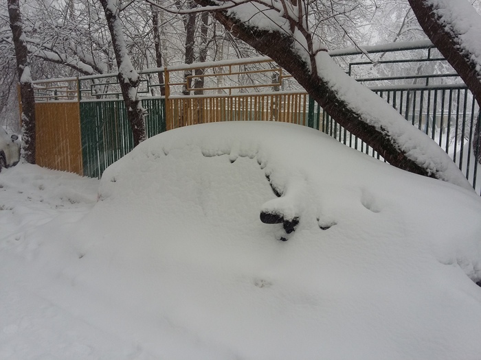 В Москве в результате снежного шторма пострадали пять человек, фото